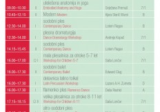 ZPS_2015_Urnik